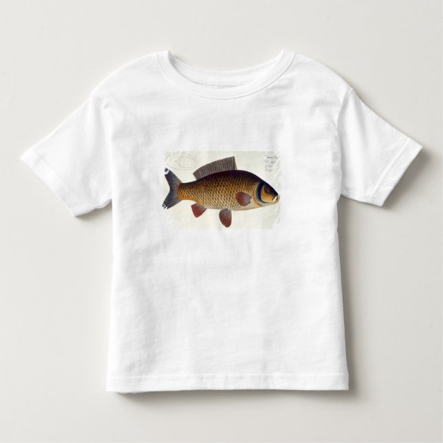 Carp (Cyprinus Carpio) plate XVI from 'Ichthyologi Toddler T-Shirt (Front)