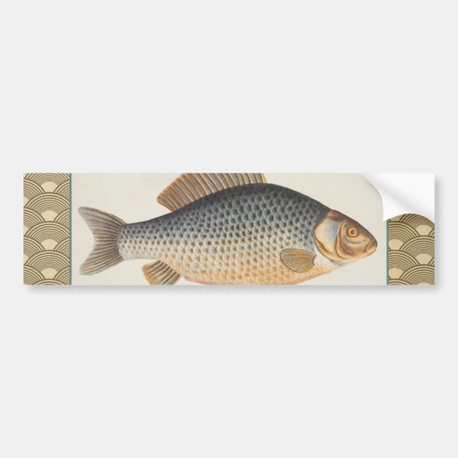 Carp fish fishing painting freshwater bumper sticker (Front)