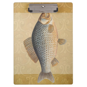 Carp fish fishing painting freshwater clipboard