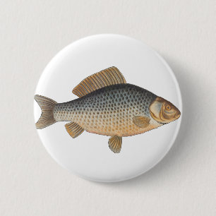 Carp fish fishing painting freshwater drawing  6 cm round badge