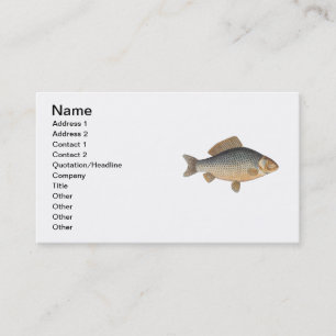 Carp fish fishing painting freshwater drawing  business card