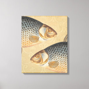 Carp fish fishing painting freshwater drawing canvas print