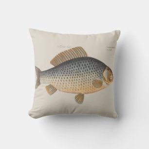 Carp fish fishing painting freshwater drawing cushion