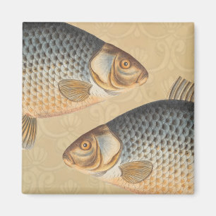 Carp fish fishing painting freshwater drawing magnet