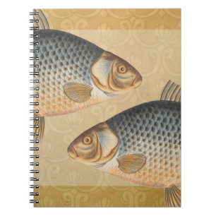 Carp fish fishing painting freshwater drawing notebook