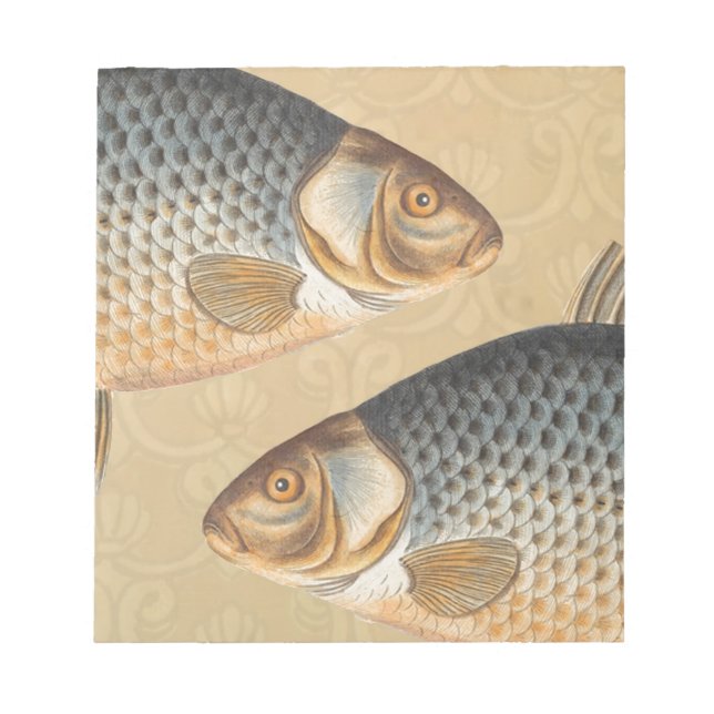 Carp fish fishing painting freshwater drawing  notepad (Front)