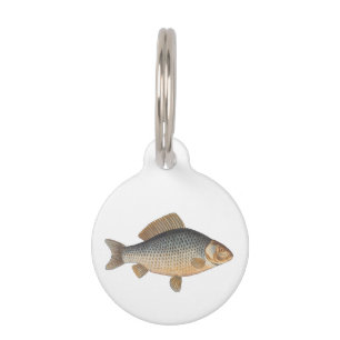 Carp fish fishing painting freshwater drawing pet tag
