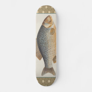 Carp fish fishing painting freshwater drawing  skateboard