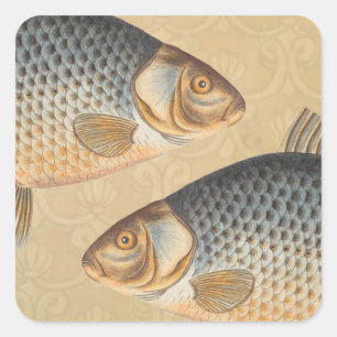 Carp fish fishing painting freshwater drawing square sticker