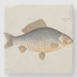 Carp fish fishing painting freshwater drawing stone coaster