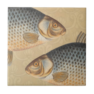 Carp fish fishing painting freshwater drawing tile