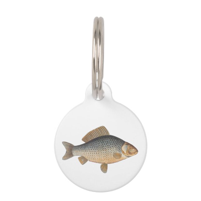 Carp fish fishing painting freshwater pet tag (Front)