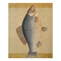 Carp fish fishing painting freshwater