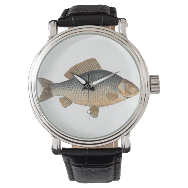 Carp fish fishing painting freshwater watch (Front)