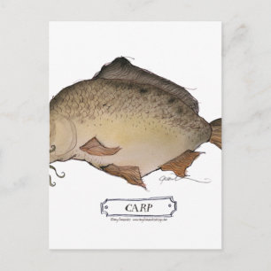 Carp fish, tony fernandes postcard