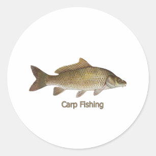 Carp Fishing Classic Round Sticker