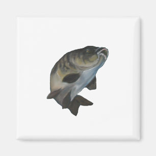 Carp. Magnet