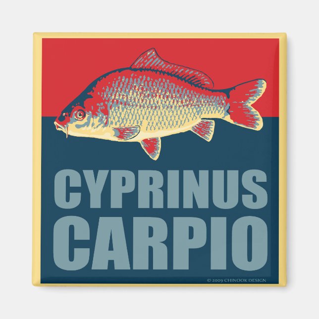 carp magnet (Front)