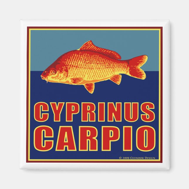 Carp magnet (Front)
