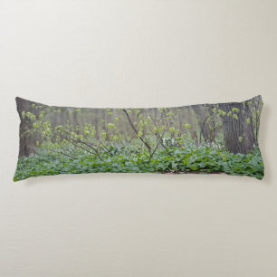 Carpathian Forest Floor Romania Nature Photograpy Body Cushion