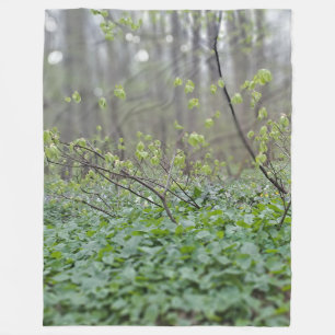 Carpathian Forest Floor Romania Nature Photograpy Fleece Blanket