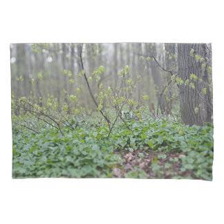 Carpathian Forest Floor Romania Nature Photograpy Pillowcase