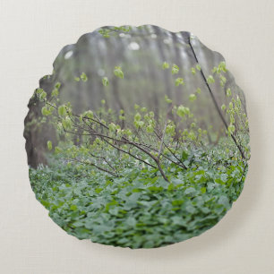 Carpathian Forest Floor Romania Nature Photograpy Round Cushion