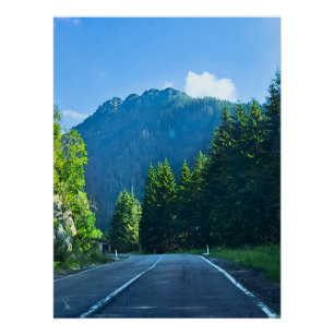 Carpathian Forest Road – Romania Mountain Print