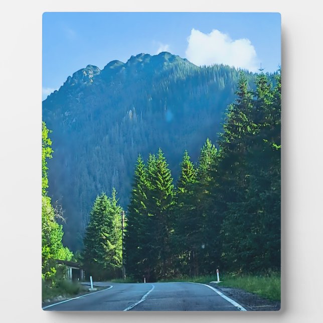 Carpathian Forest Road – Romania Mountain Print Plaque (Front)