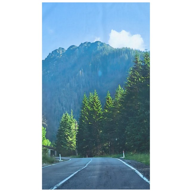 Carpathian Forest Road – Romania Mountain Print Tablecloth (Front)