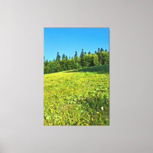 Carpathian Green Meadow – Romania Mountain Print