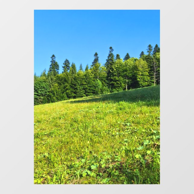 Carpathian Green Meadow – Romania Mountain Print (Sheet)