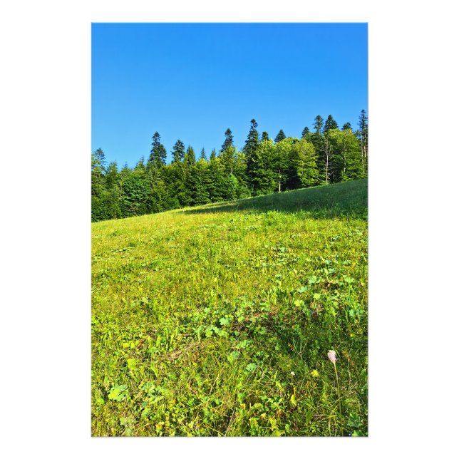 Carpathian Green Meadow – Romania Mountain Print (Front)