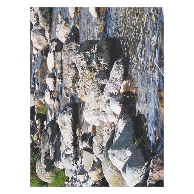 Carpathian Mountain River – Romania Nature Print Tablecloth (Front)