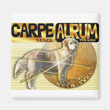 CARPE AURUM  LATIN SEIZE THE GOLD GOLDEN RETRIEVER