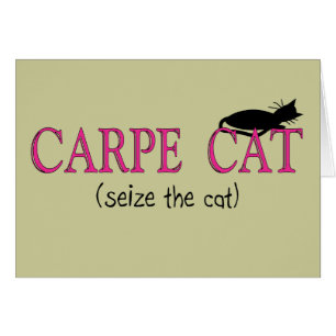 Carpe Cat (Seize The Cat) Gifts
