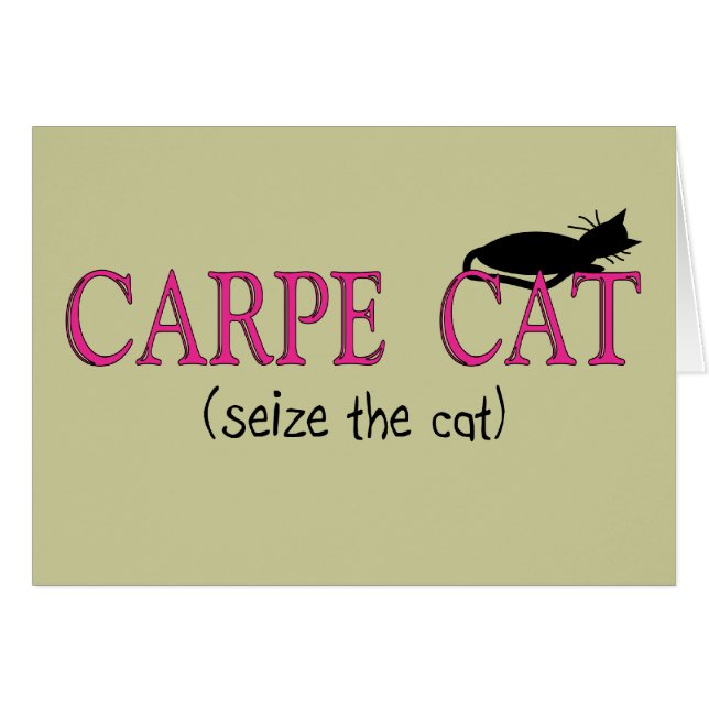 Carpe Cat (Seize The Cat) Gifts (Front Horizontal)