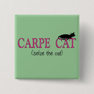 Carpe Cat (Seize The Cat) Gifts 15 Cm Square Badge