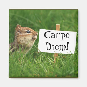 Carpe Diem! Chipmunk with Sign Magnet