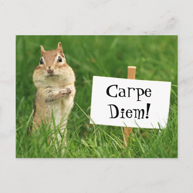 Carpe Diem Chipmunk with Sign Postcard (Front)