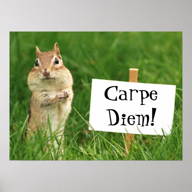 Carpe Diem Chipmunk with Sign Poster (Front)