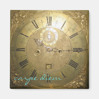 carpe diem II Magnet