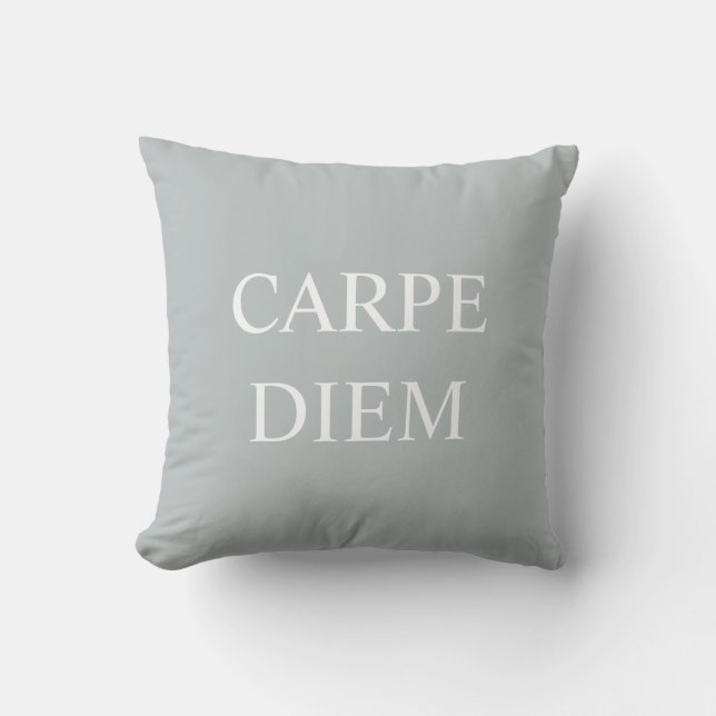 Carpe Diem Latin Quote Cushion - Grey (Front)