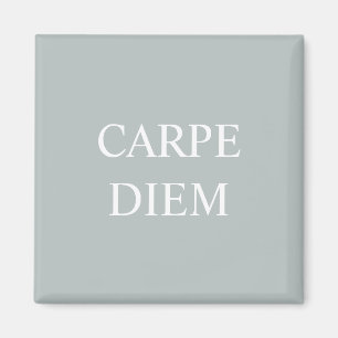 Carpe Diem Latin Quote Magnet