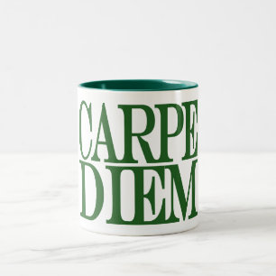 Carpe Diem Latin Quote Mug