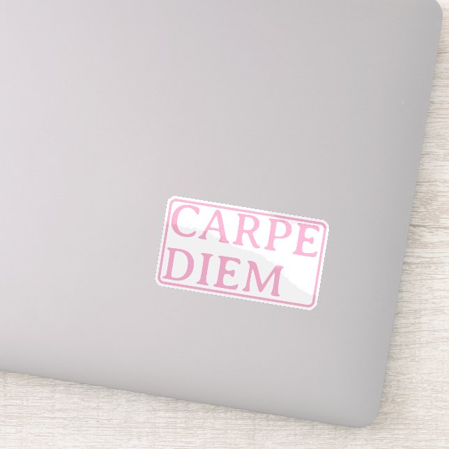 Carpe Diem latin quote sticker (Detail)