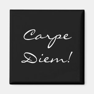 Carpe Diem magnet