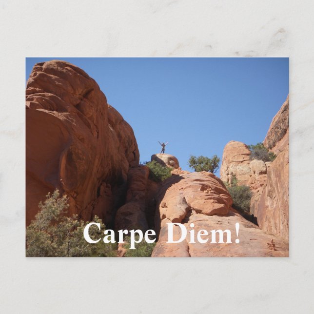 Carpe Diem! Postcard (Front)