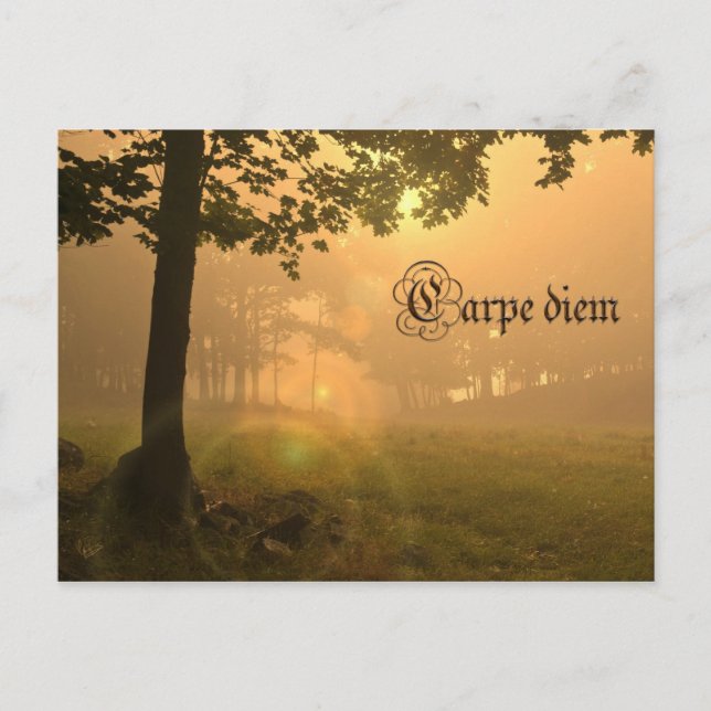 Carpe diem postcard (Front)