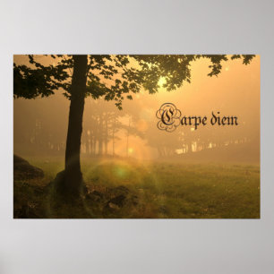 Carpe diem poster